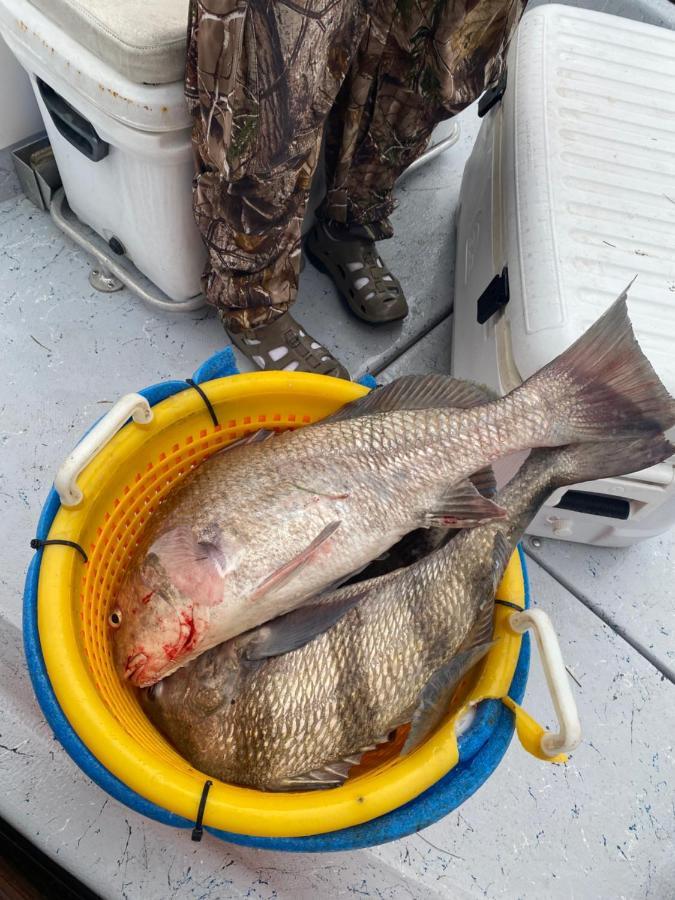 Bluff'S Landing Lodge 2* Corpus Christi